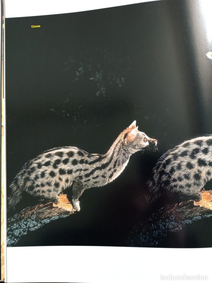 Libros de segunda mano: Naturaleza en acci&oacute;n. Jos&eacute; Luis Rodr&iacute;guez - Foto 7