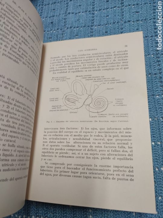 Libros de segunda mano: Caza submarina. Juan E. Sala Matas. Ed. Sintes - Foto 8