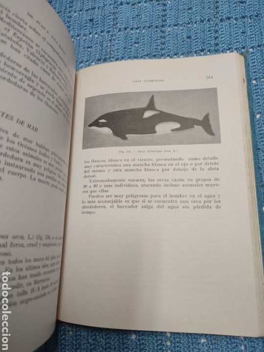 Libros de segunda mano: Caza submarina. Juan E. Sala Matas. Ed. Sintes - Foto 9