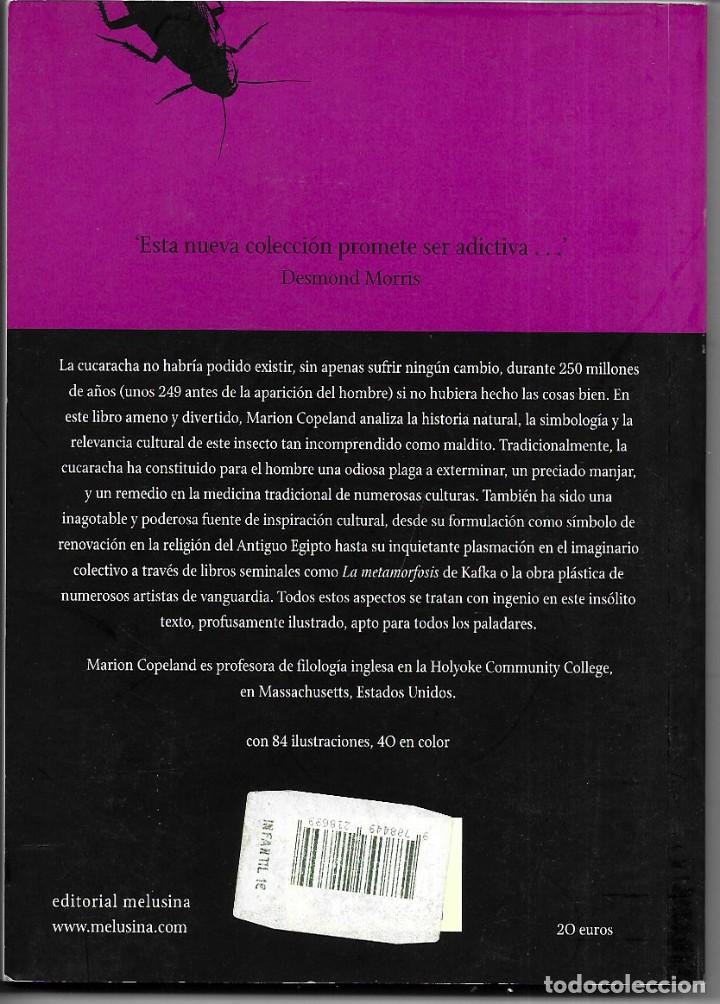 Libros de segunda mano: Marion Copeland . Cucaracha . Melusina - Foto 2