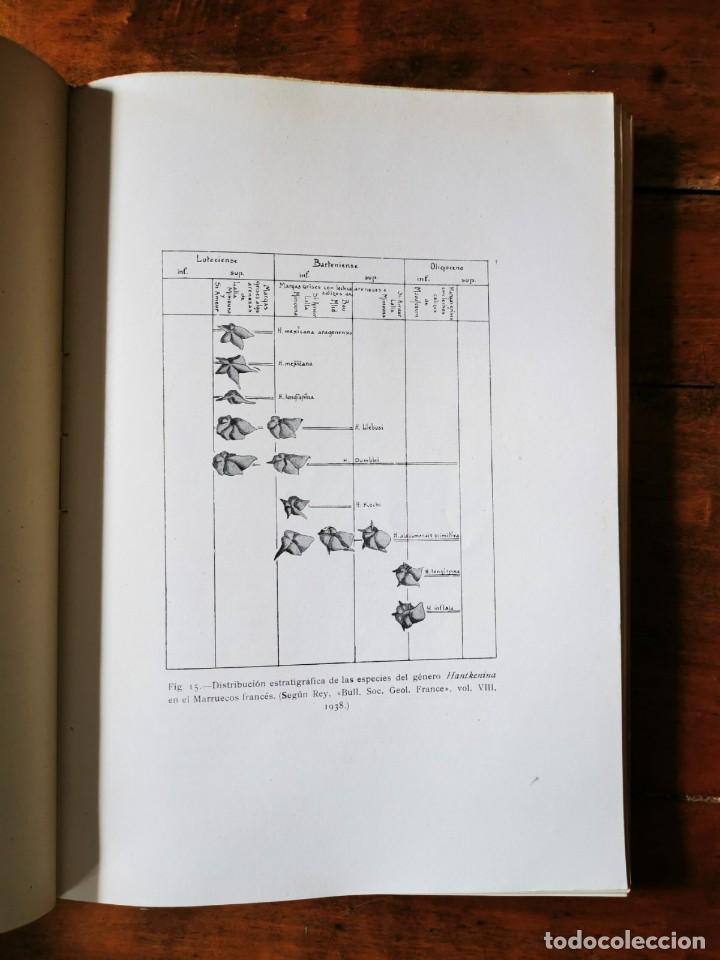 Libros de segunda mano: COLOM , G. Introducci&oacute;n al estudio de los microforamin&iacute;feros f&oacute;siles - Foto 2