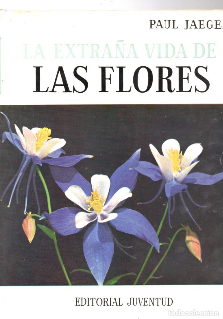 la extraña vida de las flores - paul jaeger - e - Compra venta en  todocoleccion