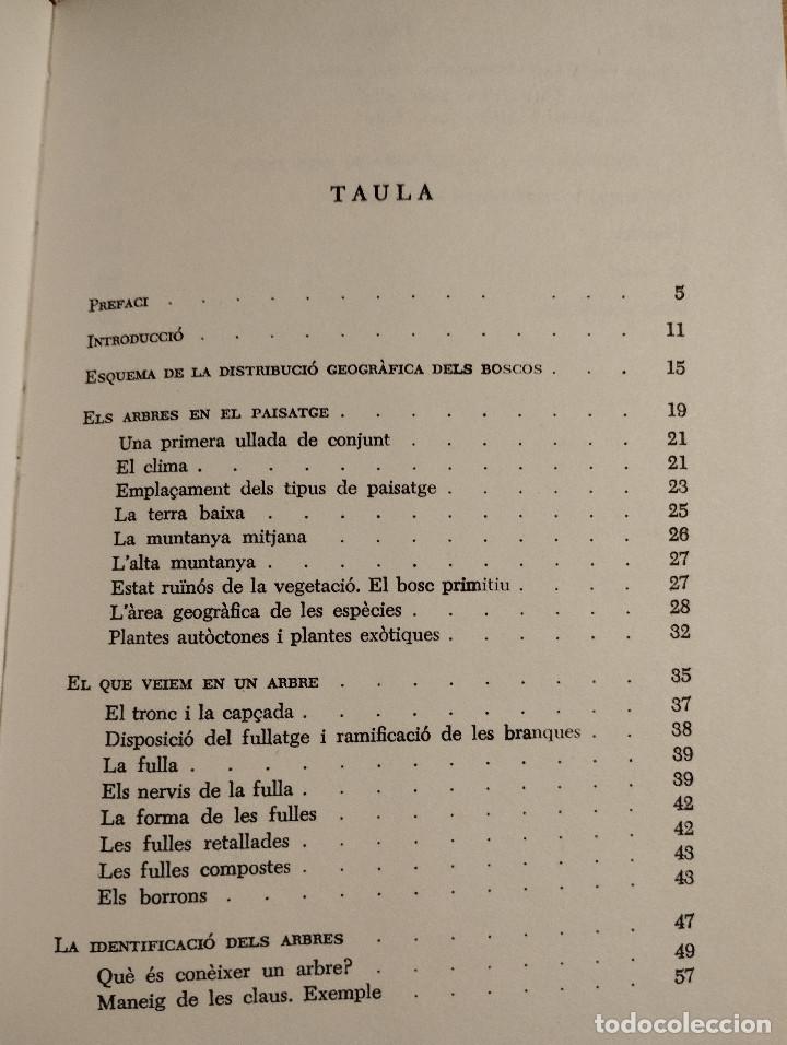 Libros de segunda mano: GUIA PER A CON&Egrave;IXER ELS ARBRES (FRANCESC MASCLANS) - Foto 3