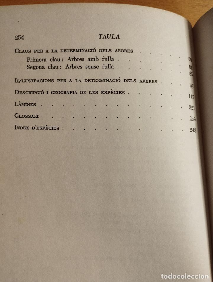 Libros de segunda mano: GUIA PER A CON&Egrave;IXER ELS ARBRES (FRANCESC MASCLANS) - Foto 4