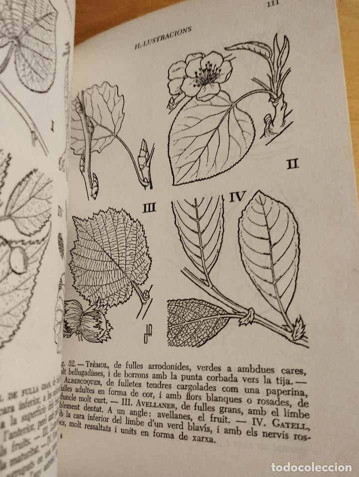 Libros de segunda mano: GUIA PER A CON&Egrave;IXER ELS ARBRES (FRANCESC MASCLANS) - Foto 5