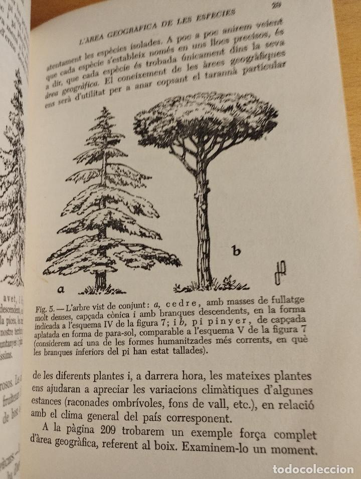 Libros de segunda mano: GUIA PER A CON&Egrave;IXER ELS ARBRES (FRANCESC MASCLANS) - Foto 8