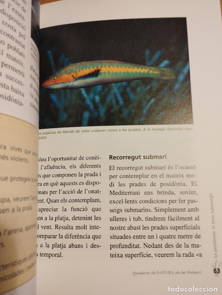 Libros de segunda mano: LA POSID&Ograve;NIA. EL BOSC SUBMERGIT (MANU SAN F&Eacute;LIX) - Foto 3