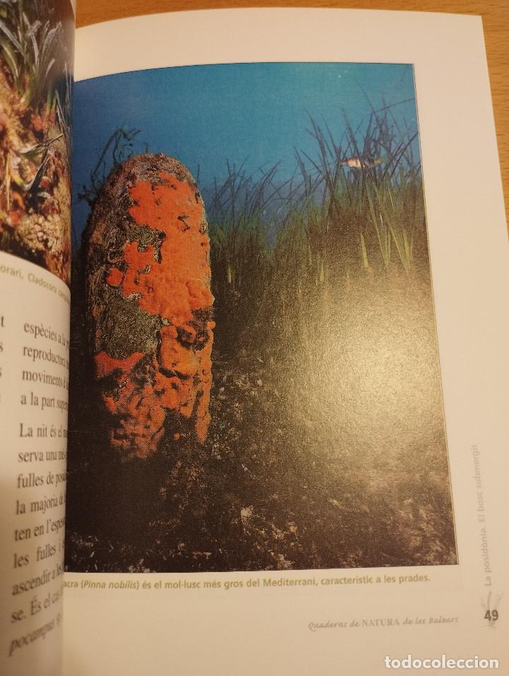 Libros de segunda mano: LA POSID&Ograve;NIA. EL BOSC SUBMERGIT (MANU SAN F&Eacute;LIX) - Foto 4