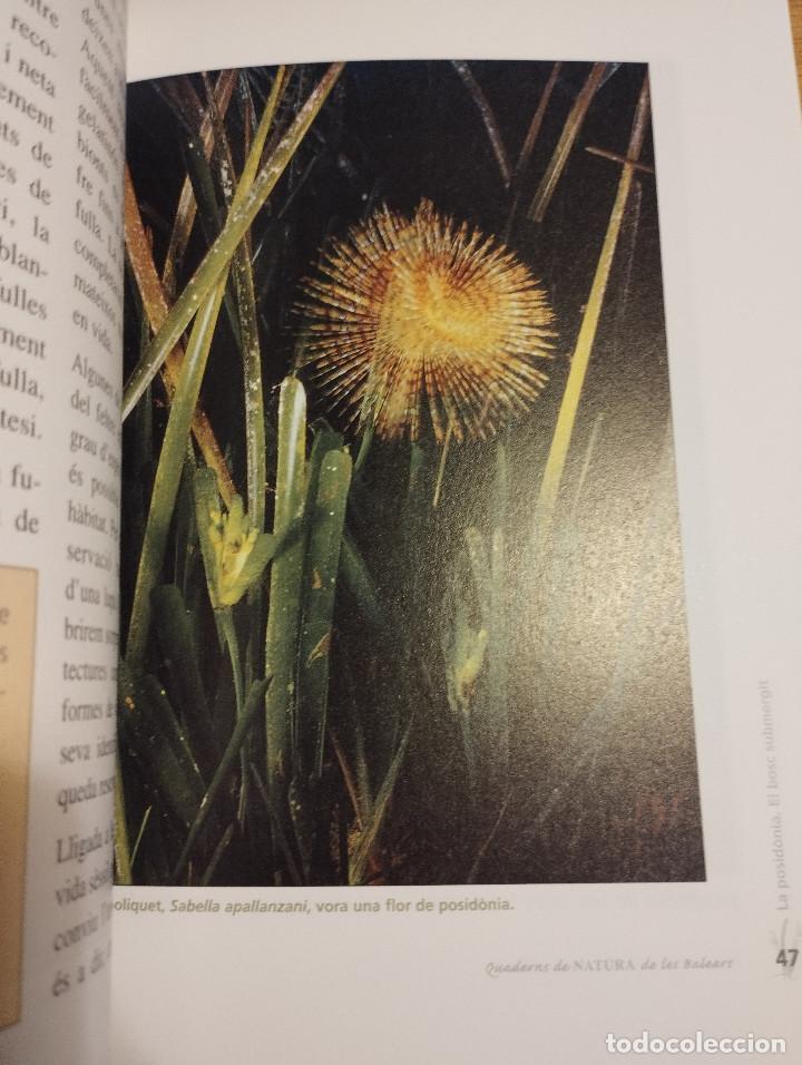 Libros de segunda mano: LA POSID&Ograve;NIA. EL BOSC SUBMERGIT (MANU SAN F&Eacute;LIX) - Foto 5
