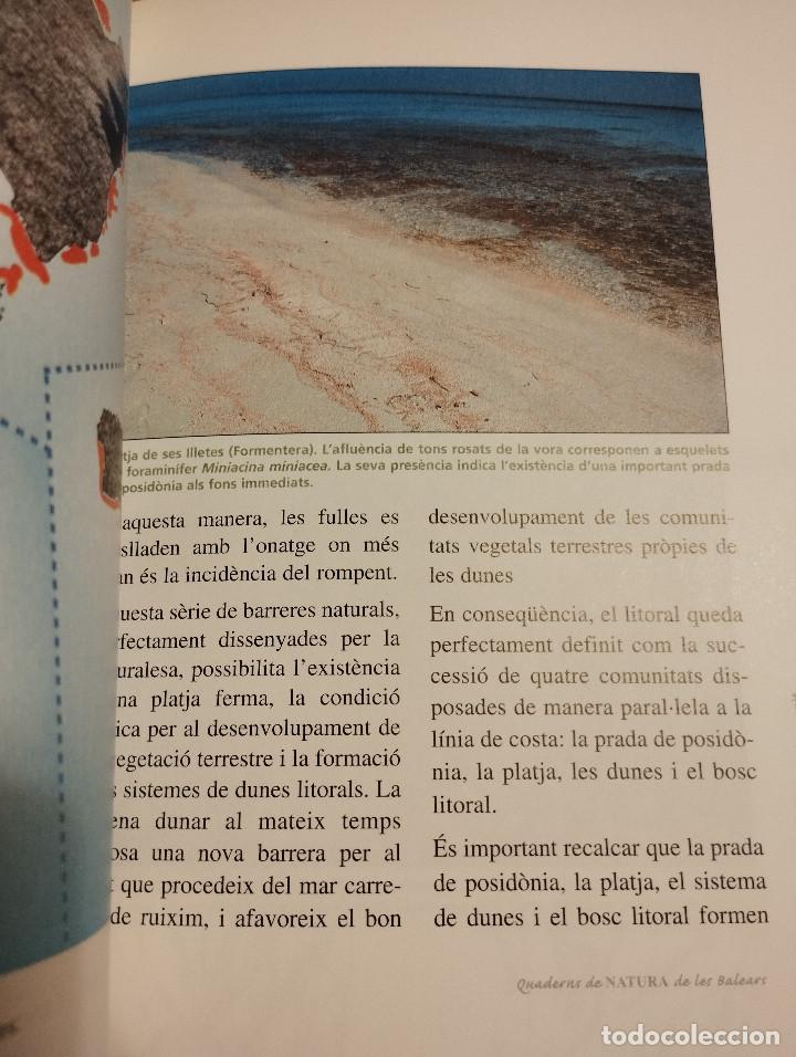 Libros de segunda mano: LA POSID&Ograve;NIA. EL BOSC SUBMERGIT (MANU SAN F&Eacute;LIX) - Foto 6