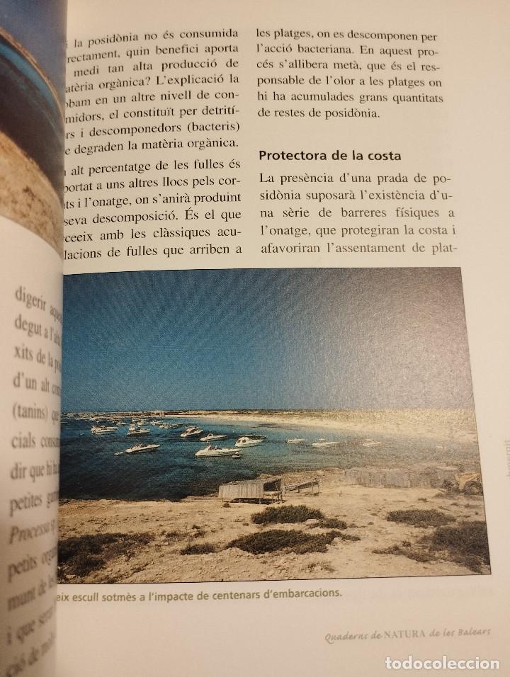 Libros de segunda mano: LA POSID&Ograve;NIA. EL BOSC SUBMERGIT (MANU SAN F&Eacute;LIX) - Foto 7