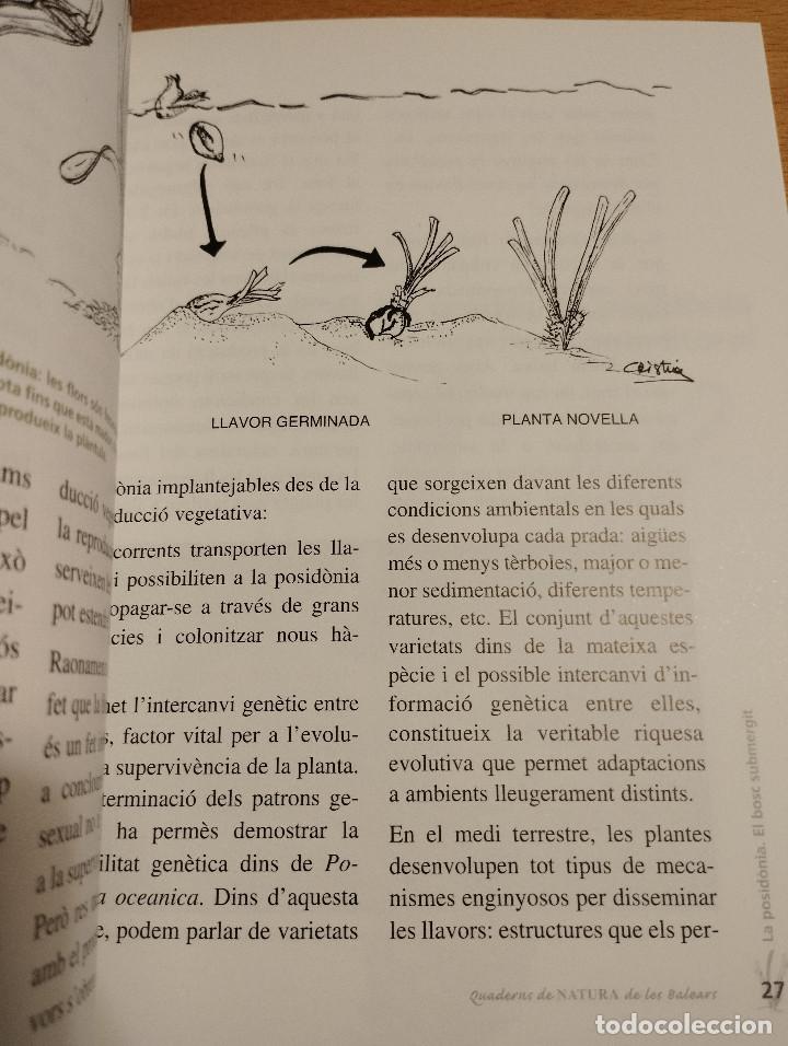 Libros de segunda mano: LA POSID&Ograve;NIA. EL BOSC SUBMERGIT (MANU SAN F&Eacute;LIX) - Foto 8