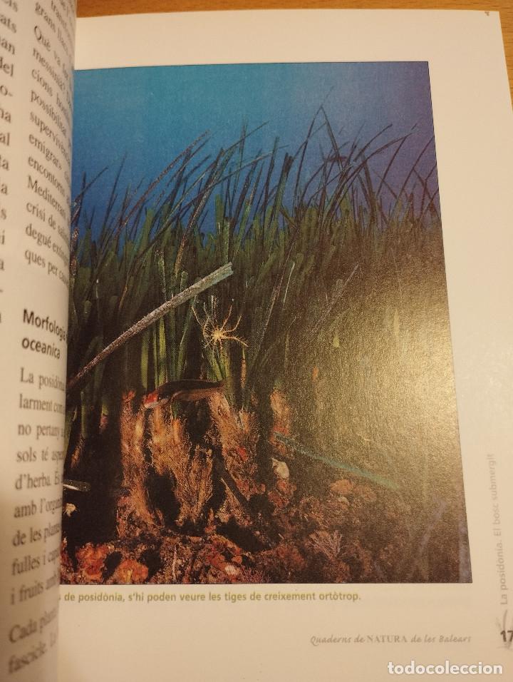 Libros de segunda mano: LA POSID&Ograve;NIA. EL BOSC SUBMERGIT (MANU SAN F&Eacute;LIX) - Foto 9
