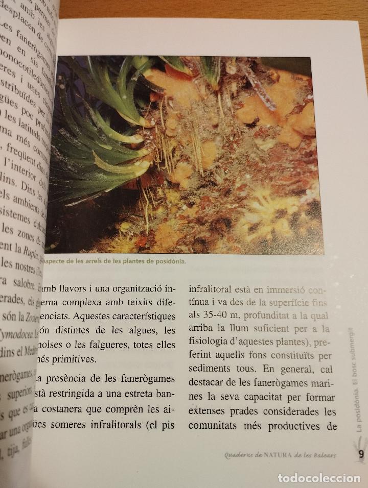 Libros de segunda mano: LA POSID&Ograve;NIA. EL BOSC SUBMERGIT (MANU SAN F&Eacute;LIX) - Foto 10