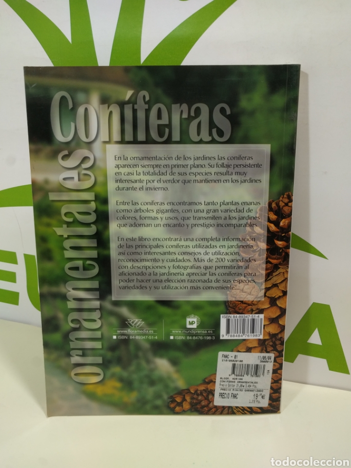 Libros de segunda mano: Con&iacute;feras ornamentales. - Foto 2
