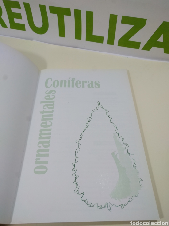 Libros de segunda mano: Con&iacute;feras ornamentales. - Foto 3