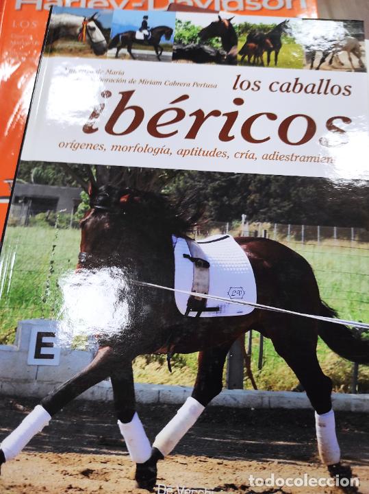 Libros de segunda mano: LOS CABALLOS IB&Eacute;RICOS - De Maria,Vincenzo - Foto 1