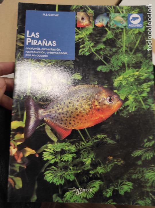 Libros de segunda mano: LAS PIRA&Ntilde;AS (M. S. GERMAIN) - Anatomia... - Foto 1
