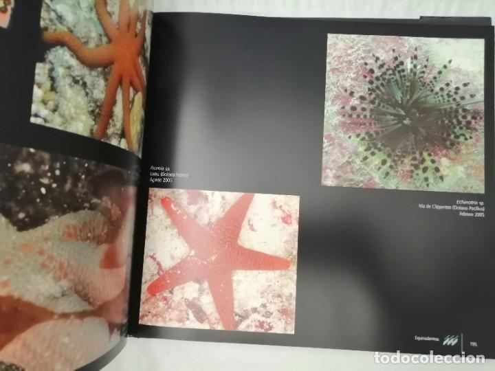 Libros de segunda mano: EL MUNDO SUBMARINO DE PHARMAMAR, VOLUMEN 2 - Foto 4