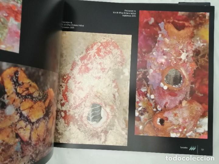 Libros de segunda mano: EL MUNDO SUBMARINO DE PHARMAMAR, VOLUMEN 2 - Foto 6