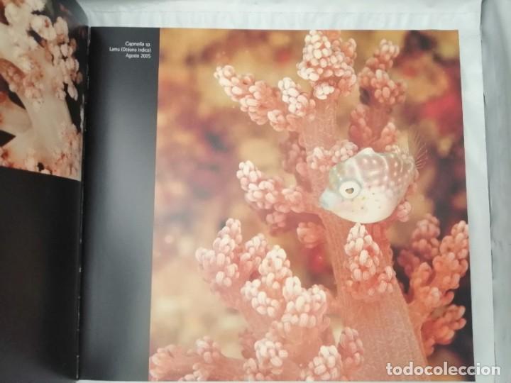 Libros de segunda mano: EL MUNDO SUBMARINO DE PHARMAMAR, VOLUMEN 2 - Foto 7