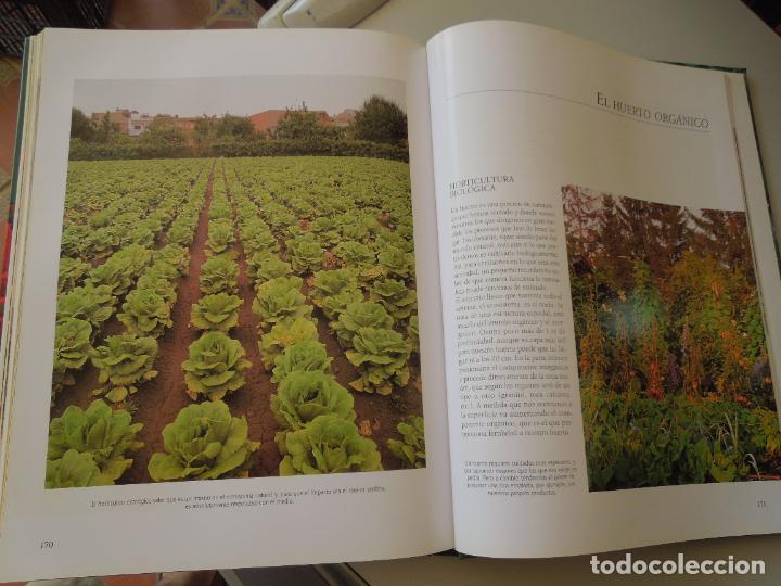 Libros de segunda mano: EL GRAN LIBRO DE LA JARDINERIA - EDICIONES RUEDA - Foto 3