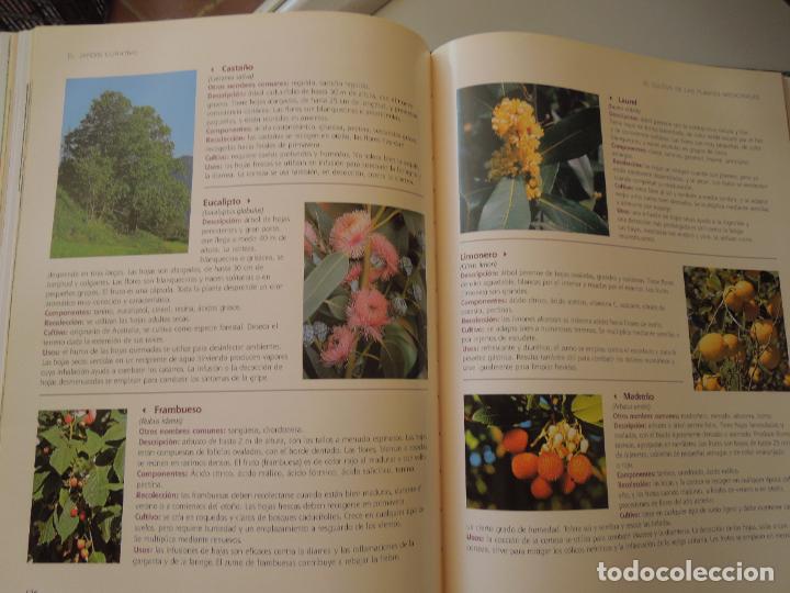 Libros de segunda mano: EL GRAN LIBRO DE LA JARDINERIA - EDICIONES RUEDA - Foto 4