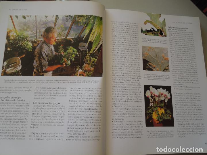 Libros de segunda mano: EL GRAN LIBRO DE LA JARDINERIA - EDICIONES RUEDA - Foto 6