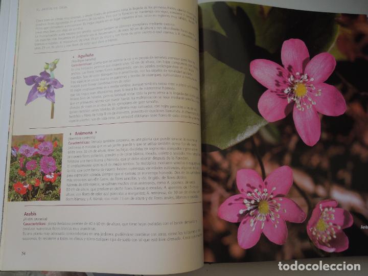 Libros de segunda mano: EL GRAN LIBRO DE LA JARDINERIA - EDICIONES RUEDA - Foto 7