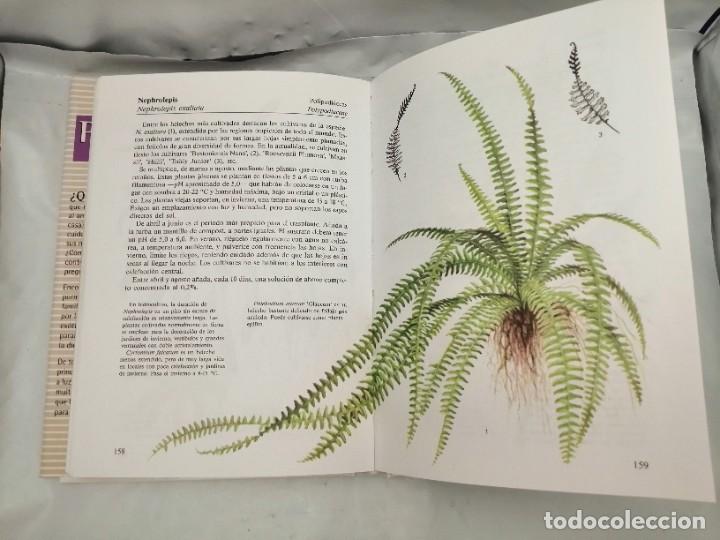 Libros de segunda mano: PLANTAS DE INTERIOR - Foto 4