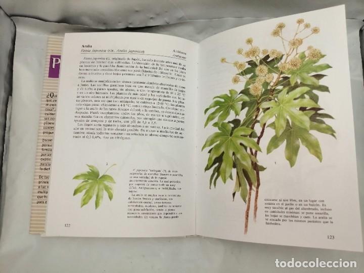 Libros de segunda mano: PLANTAS DE INTERIOR - Foto 5