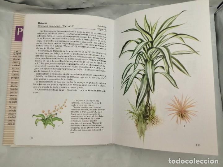 Libros de segunda mano: PLANTAS DE INTERIOR - Foto 6