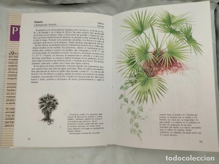 Libros de segunda mano: PLANTAS DE INTERIOR - Foto 7