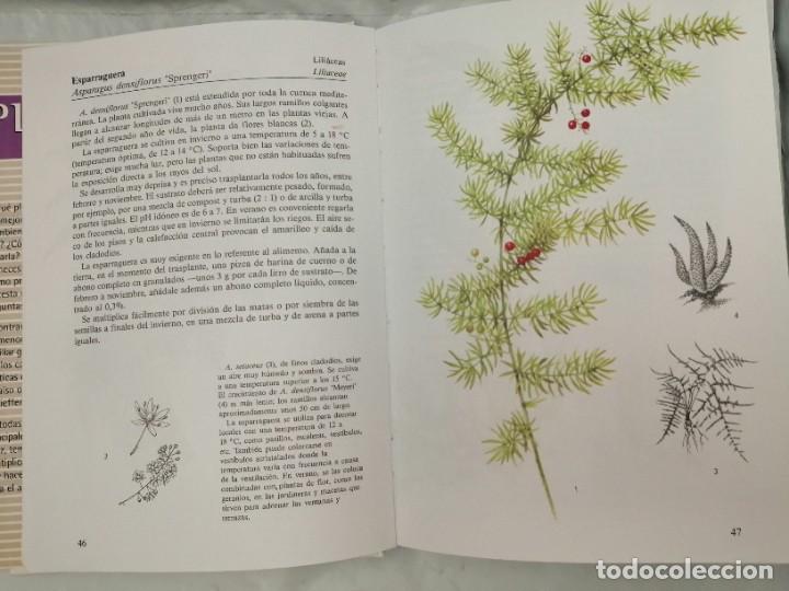 Libros de segunda mano: PLANTAS DE INTERIOR - Foto 8