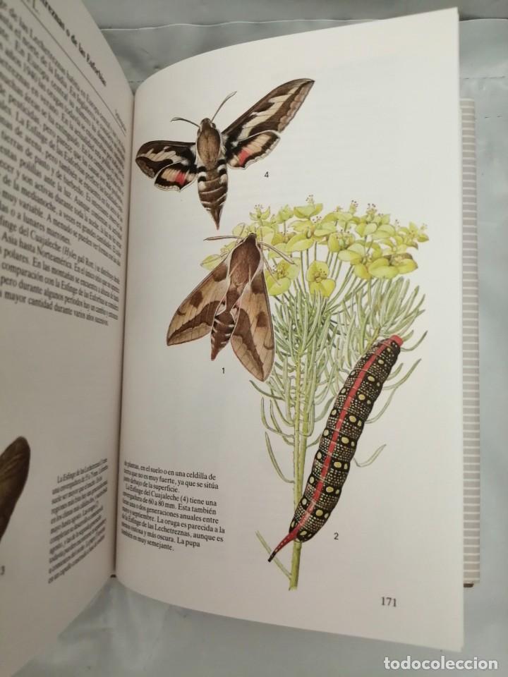 Libros de segunda mano: MARIPOSAS - Foto 4