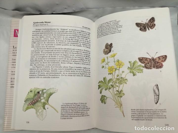 Libros de segunda mano: MARIPOSAS - Foto 5