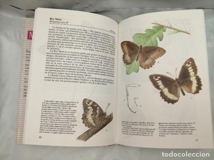 Libros de segunda mano: MARIPOSAS - Foto 6