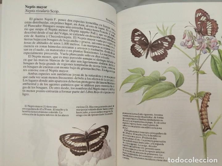 Libros de segunda mano: MARIPOSAS - Foto 7