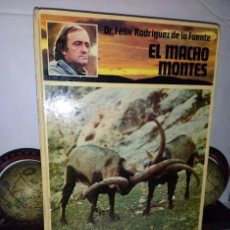 Libros de segunda mano: EL MACHO MONTES - EL HOMBRE Y LA TIERRA FÉLIX RODRÍGUEZ DE LA FUENTE - CIRCULO DE LECTORES 1979. Lote 341387153