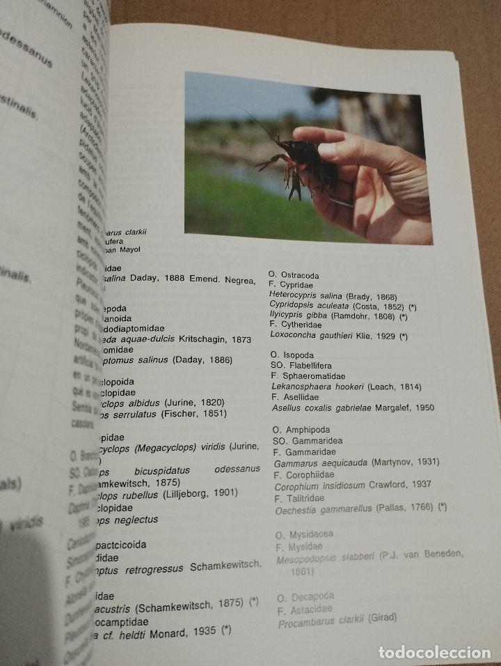 Libros de segunda mano: SALBUFERA DE MALLORCA (ANTONI MART&Iacute;NEZ TABERNER / JOAN MAYOL SERRA) - Foto 8