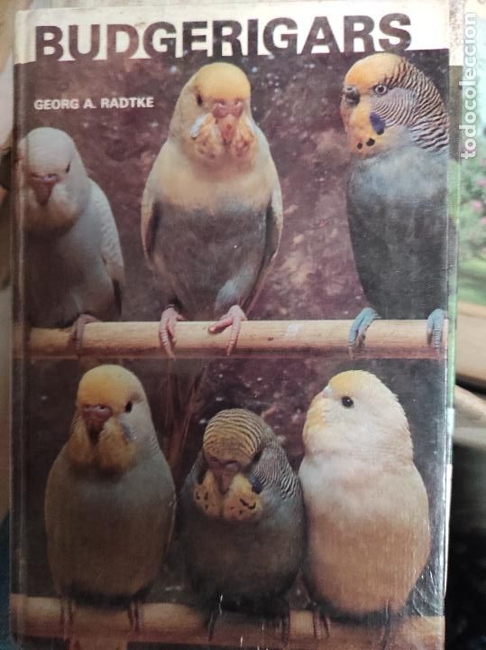 Libros de segunda mano: Budgerigars Radtke, Georg A. - pajaros en ingles - Foto 1