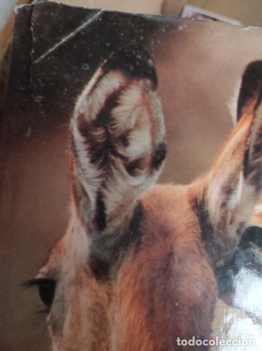 Libros de segunda mano: Para&iacute;sos - Dolder, Willi&Ursula - Foto 2