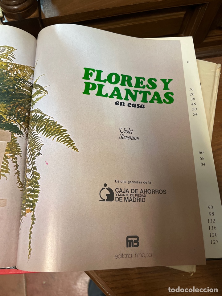Libros de segunda mano: Flores y plantas en casa - Foto 3