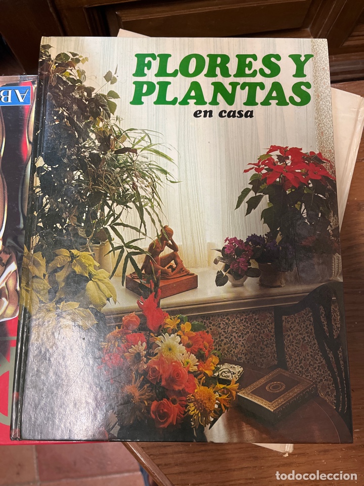 Libros de segunda mano: Flores y plantas en casa - Foto 2