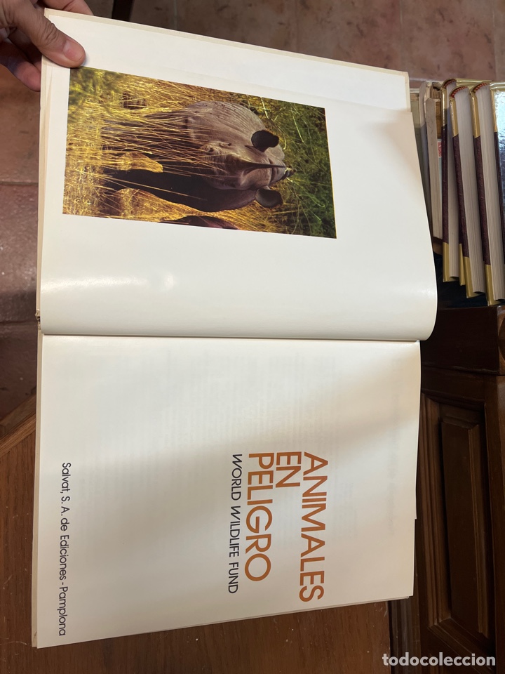 Libros de segunda mano: Animales en peligro. World wildlife fund. - Foto 2
