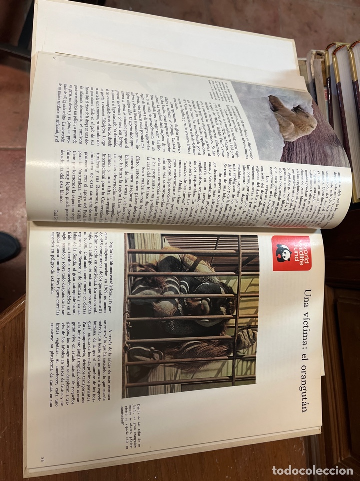 Libros de segunda mano: Animales en peligro. World wildlife fund. - Foto 3