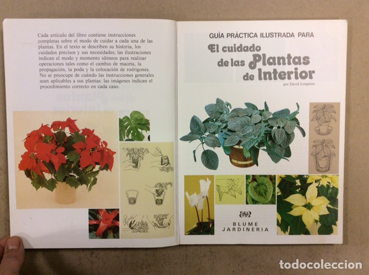 Libros de segunda mano: GU&Iacute;A PR&Aacute;CTICA ILUSTRADA PARA EL CUIDADO DE LAS PLANTAS DE INTERIOR. DAVID LONGMAN. - Foto 2