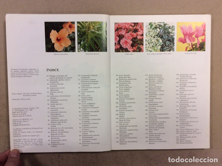 Libros de segunda mano: GU&Iacute;A PR&Aacute;CTICA ILUSTRADA PARA EL CUIDADO DE LAS PLANTAS DE INTERIOR. DAVID LONGMAN. - Foto 3