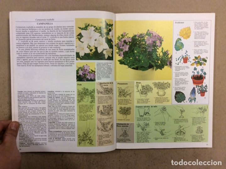 Libros de segunda mano: GU&Iacute;A PR&Aacute;CTICA ILUSTRADA PARA EL CUIDADO DE LAS PLANTAS DE INTERIOR. DAVID LONGMAN. - Foto 5