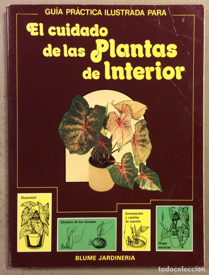 Libros de segunda mano: GU&Iacute;A PR&Aacute;CTICA ILUSTRADA PARA EL CUIDADO DE LAS PLANTAS DE INTERIOR. DAVID LONGMAN. - Foto 1